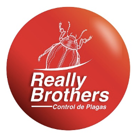 Really Brothers